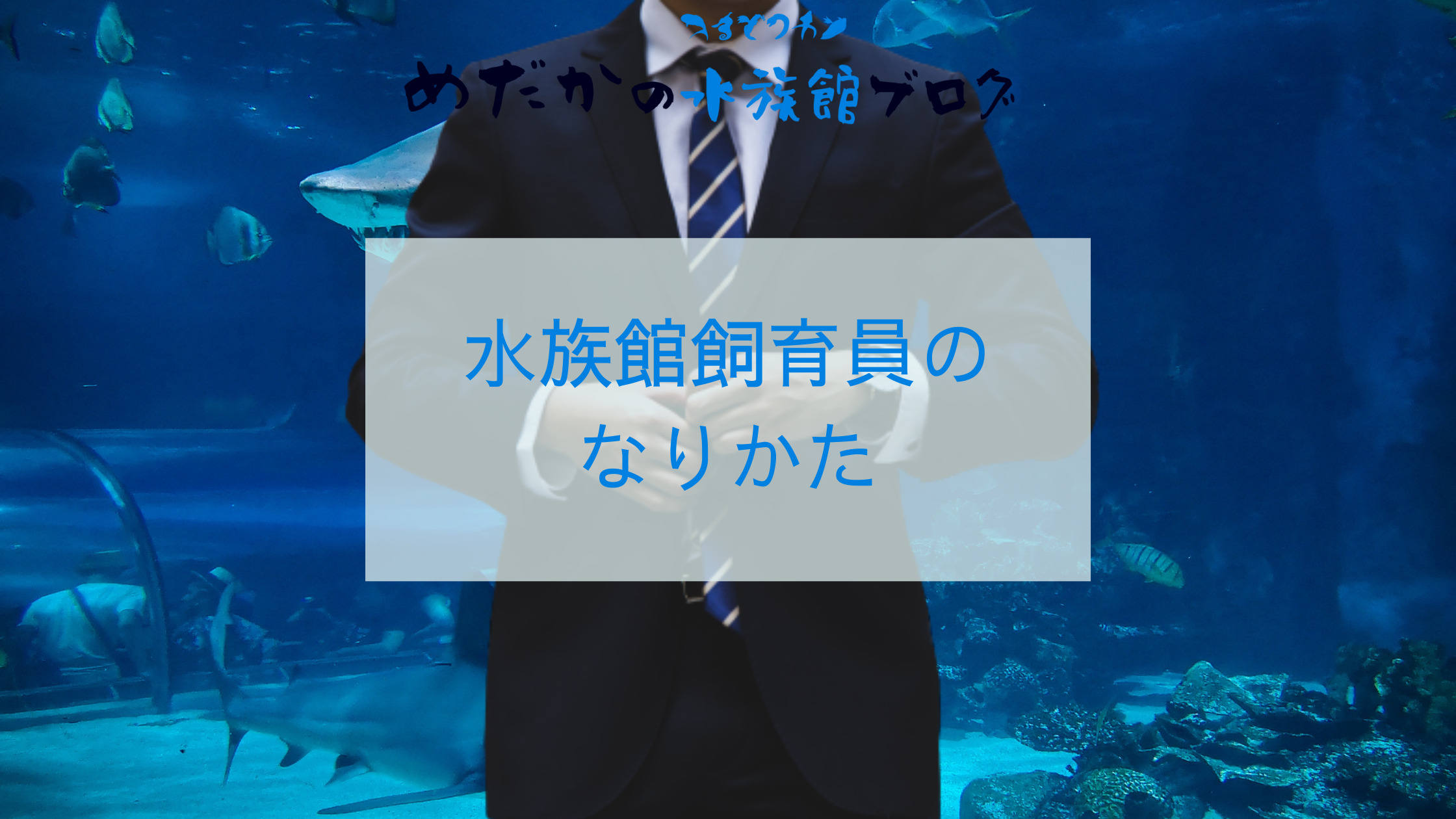 どうやってなる 水族館飼育員のなり方４通りを紹介 めだかの水族館ブログ
