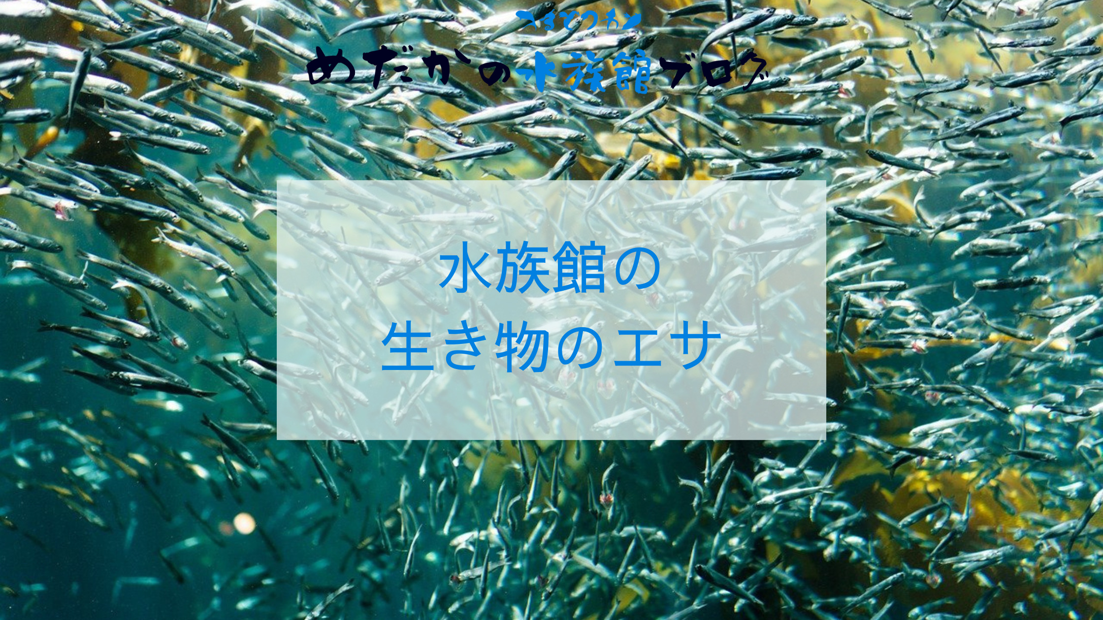 水族館の生き物に与えるエサについて｜めだかの水族館ブログ