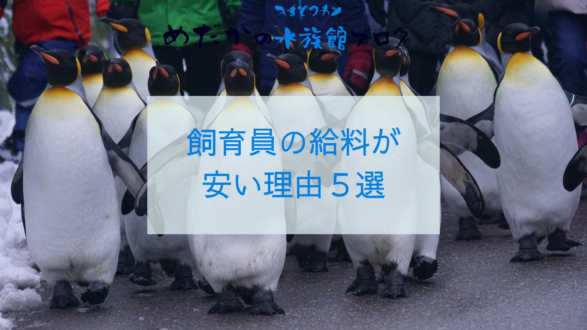 動物園 の 飼育 員 給料